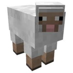 Missing Sheep