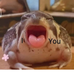 ~ Little froggos ~