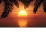 sunset hangout <3