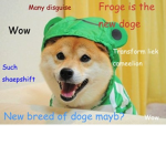 conter