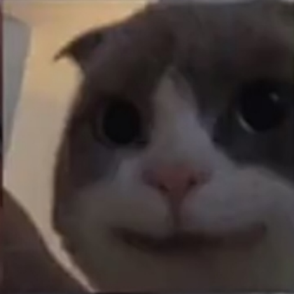 cute cat Roblox decal
