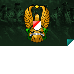 Akademi militery NARI