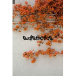 satisthetics