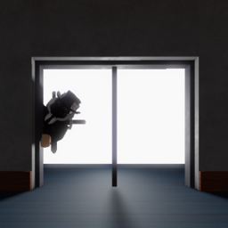 Weird doors
