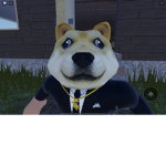 The doge domination
