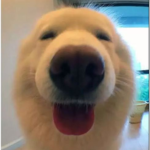 ʙʀᴇᴇᴢʏꜱ ᴄʟᴏᴛʜɪɴɢ