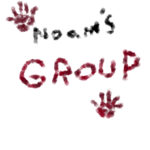 NOAM'S GROUP