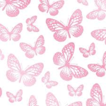 _~Butterflies~_