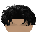 Curly Top w/ Taper Fade