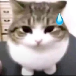 ignore please