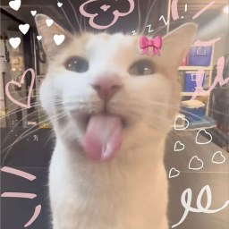 easy cat obby <3
