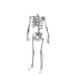 [10% OFF] Headless Skelly
