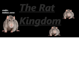 The Rat Kingdom