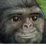 Monke Supreme Group