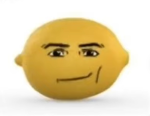 the lemon frut society