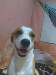 X3SOU1CAIDK_ofc