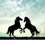 Horse-Crazy People