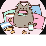 Kits and cat