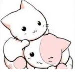 Los gaticos woof miau!!