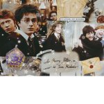 ~Harry Potter-