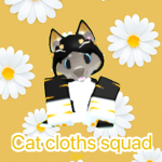 Cat clothes squad