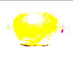 LEMON CULT!