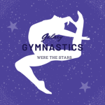 Galaxy Gymnastics Team
