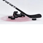 hockey_ppl
