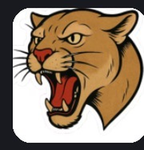Panthers football camp
