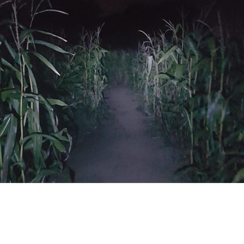 ORIGINAL MAZE