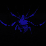 Spoodercave
