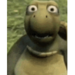 oogwayboogway