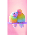 The birdies group