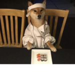 Robloxian Clothing .Co