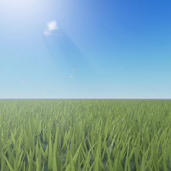 Beautiful (Newer) Grass Fields with Admin woo