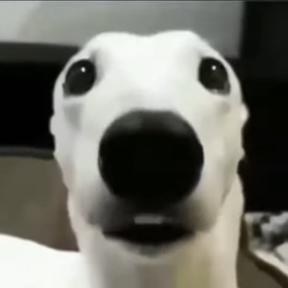 shivering dog Roblox decal