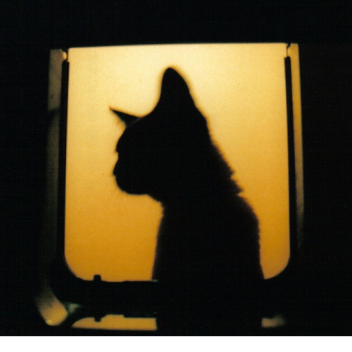 SpriteDragon holding Butter