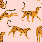 Preppy cheetahs!