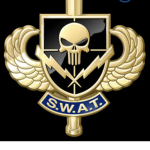 Swat team force!!