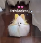 Me boba tea cat