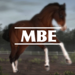 Mountain Bay Equestrian