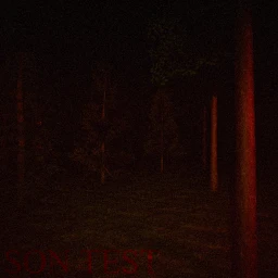 son test icon