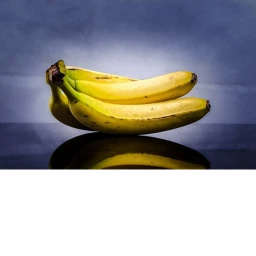 Mansion of Wonder icon