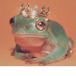Cute_frogs