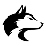 Wolf International Airlines