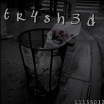 t r 4 s h 3 d
