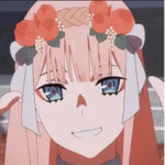 Darling~in~the~Fran.x fan group