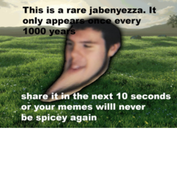 n00b city