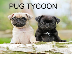 Pug tycoon