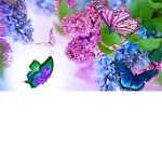 ItsLena_pl friends